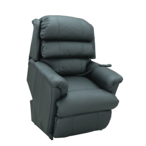 ASTOR PLATINUM+ PWR LIFT CHAIR L LEATHER