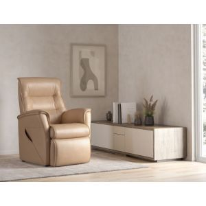 PARAMOUNT MFS290 MULTI LIFT CHAIR T LEATHER